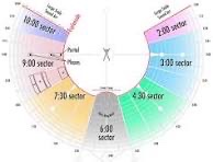 61A26A9B-2BEE-45DE-9BBB-55D69AB082DE_4_5005_c